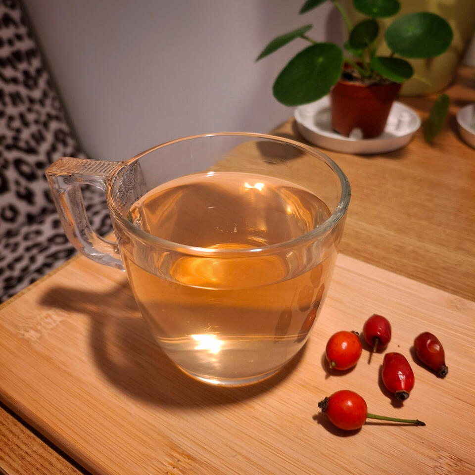 Erdei csipkebogyó tea