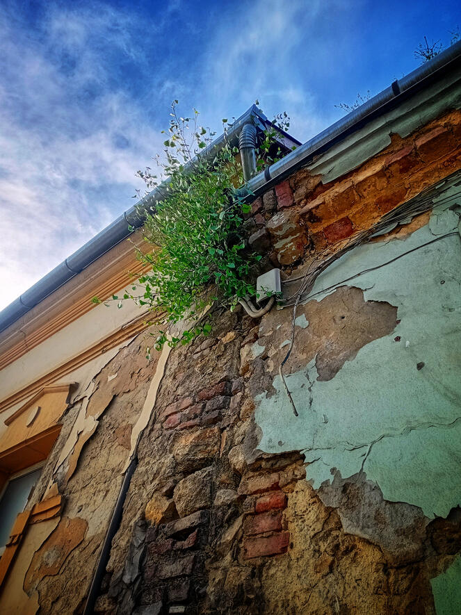 Itt például lakhatna egy család