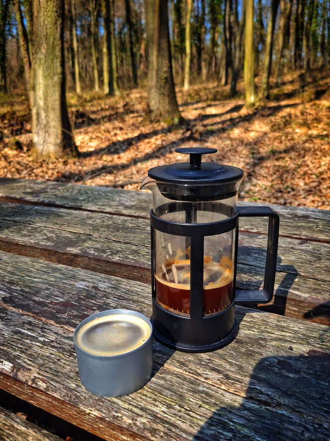 Tavasszal a Zselicben